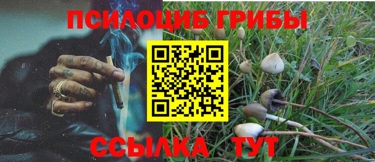 Орск  Псилоцибиновые грибы прущие грибы  Вход с VPN 